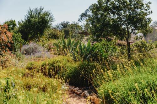 a field of grass and plants with a tree at Quinta Bohemia in Moncarapacho