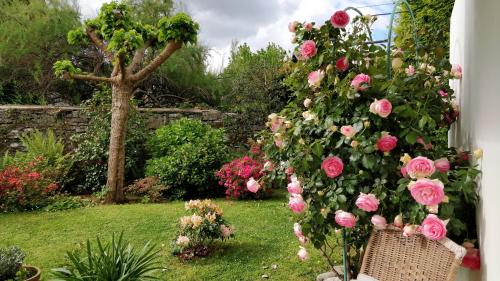 Ein Garten an der Unterkunft T1 ou T2 dans villa avec jardin proche Biarritz