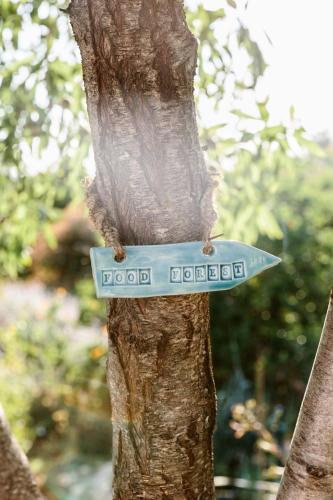 a measuring tape on the side of a tree at Quinta Bohemia in Moncarapacho