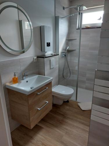 a bathroom with a shower and a sink and a toilet at Zum Grünen Rad 