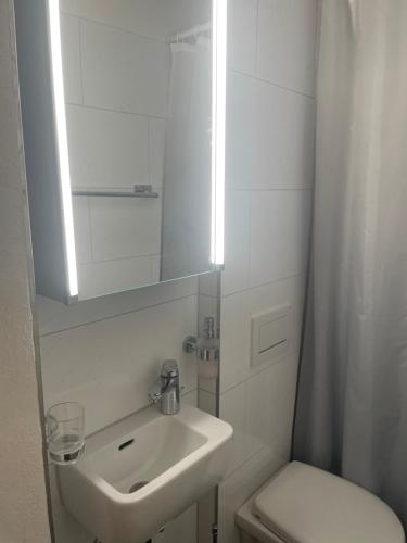 La salle de bains est pourvue d'un lavabo, de toilettes et d'un miroir. dans l'établissement Hechtplatz Hotel - Self Check-in, à Zurich