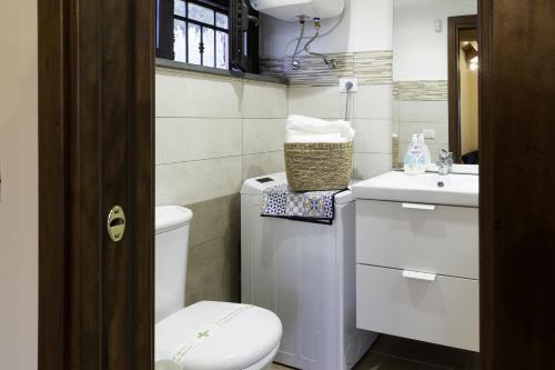 La petite salle de bains est pourvue de toilettes et d'un lavabo. dans l'établissement Casetta delle Rose sull'etna, à Viagrande