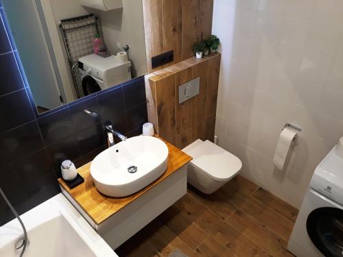 y baño con lavabo y aseo. en Apartament Projektant, en Rzeszów