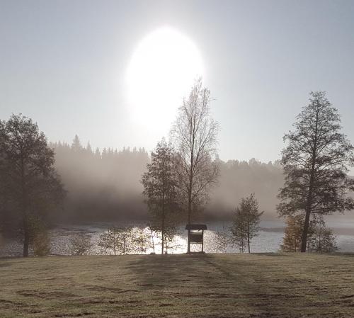 a bench in a field next to a body of water at Waldsee in Nagel