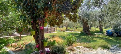 a tree with somebons on it in a yard at Chrisella Villa in Skala Rachoniou