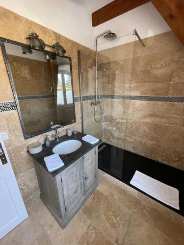 uma casa de banho com um lavatório e um chuveiro com um espelho. em Manoir d'Amaury - Chambres d'hôtes em Gréoux-les-Bains