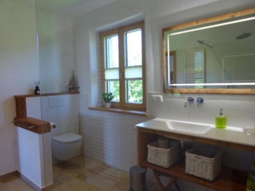 W łazience znajduje się umywalka, toaleta i lustro. w obiekcie Ferienwohnung Schreiner-Viehhausen w mieście Grassau