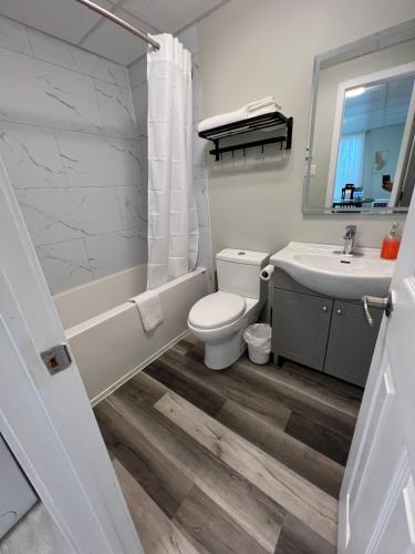 a bathroom with a toilet and a sink at Le Centre-Ville in Rouyn