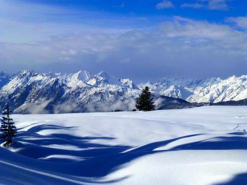 a snow covered mountain range with trees in the foreground at Apartment Amberg in Ötztal-Bahnhof