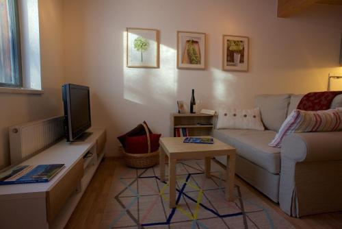 a living room with a couch and a tv at Apartment Amberg in Ötztal-Bahnhof