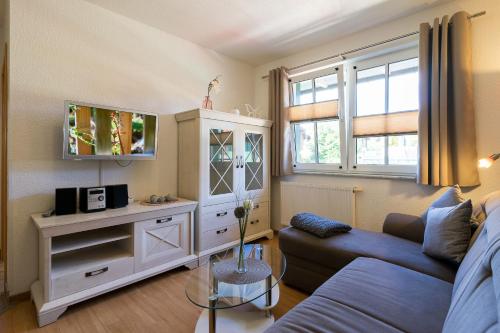 a living room with a blue couch and a tv at Ferienanlage Zum Wildbach Schierke in Schierke