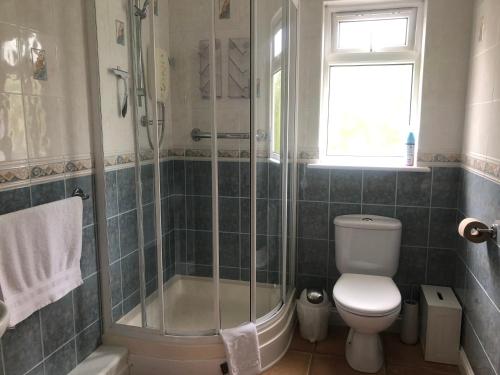 a bathroom with a shower and a toilet at Little Valley View in Otterham