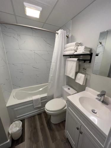 a white bathroom with a toilet and a sink at Le Centre-Ville in Rouyn