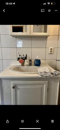 a bathroom counter with a white sink in a room at Solhaga Kullahalvön in Jonstorp