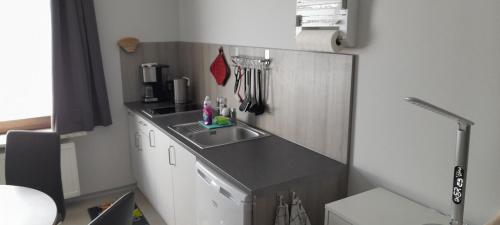 Dapur atau dapur kecil di Studio-Apartment Braunschweig in Wolfenbüttel