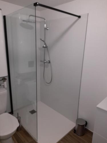 La salle de bains est pourvue d'une porte de douche en verre et de toilettes. dans l'établissement Gîte chaleureux avec poêle à granulés, à Tanis