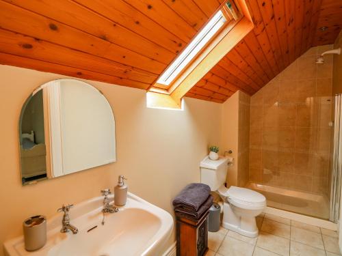 a bathroom with a sink and a toilet and a skylight at Coach House in Portlaoise