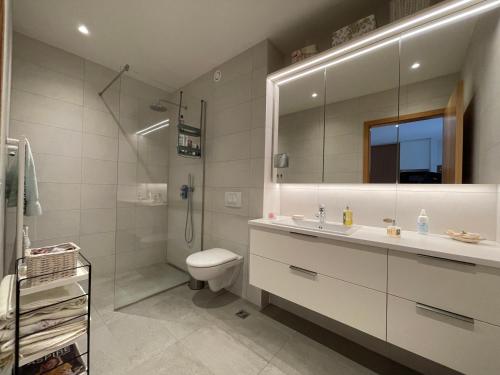 a bathroom with a sink and a toilet and a shower at Naustavör 30 in Reykjavík