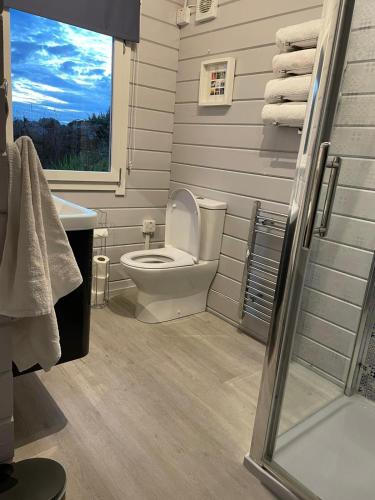 a bathroom with a toilet and a sink and a window at Rockschapel Cabin 30B in Annacloy