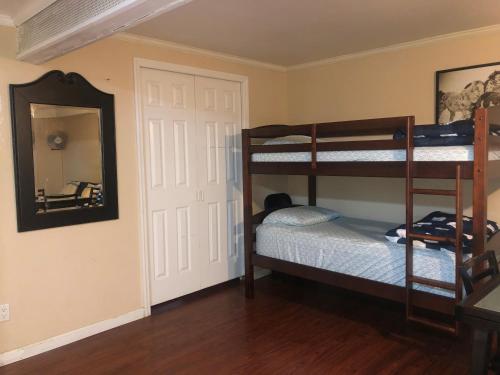 a bedroom with two bunk beds and a mirror at 67-26 Austin Cove near subway, all shops, restaurants! Separate Entrance in New York