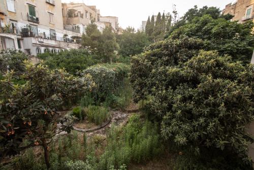 Foria Garden View