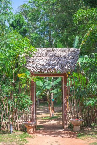 Ein Garten an der Unterkunft Hela Gedara Villa Beruwala