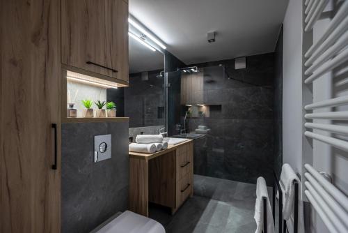 a bathroom with a toilet and a sink and a shower at Apartament Widok 1 in Piechowice