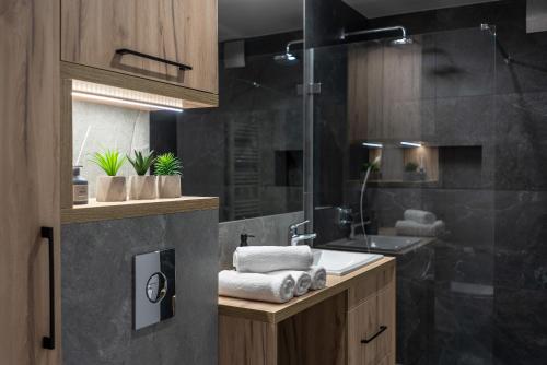 a bathroom with a sink and a shower at Apartament Widok 1 in Piechowice