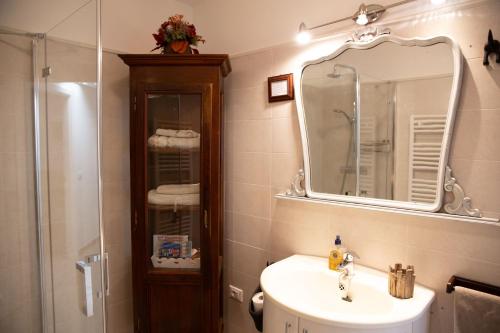 a bathroom with a sink and a mirror and a shower at BnB Trento in Trento