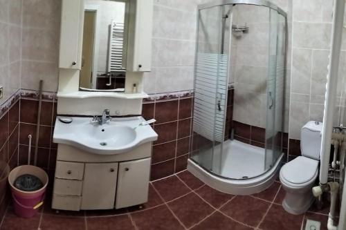 uma casa de banho com um lavatório, um chuveiro e um WC. em Vault of istanbul em Istambul