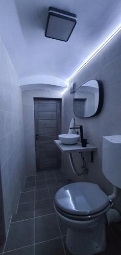 a bathroom with a toilet and a sink and a mirror at CBT Apartament in Timişoara