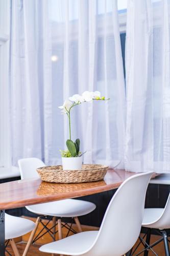 Fotografie z fotogalerie ubytování Esplanade Apartments v destinaci Dunedin