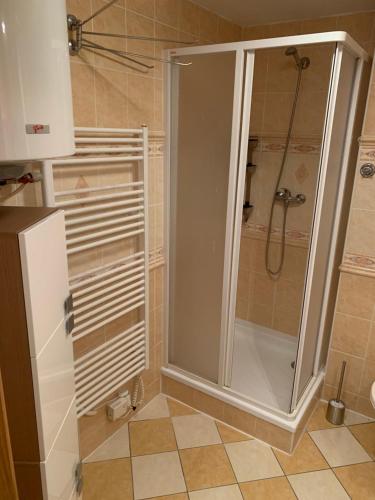 a shower with a glass door in a bathroom at Apartmán Horní Mísečky in Vítkovice