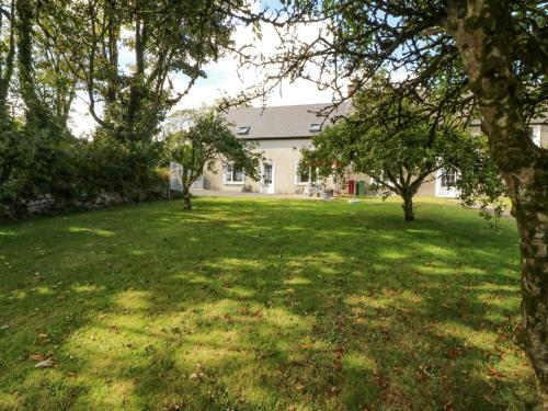 a yard with trees in front of a house at Beehive Cottage in Kilbrittain