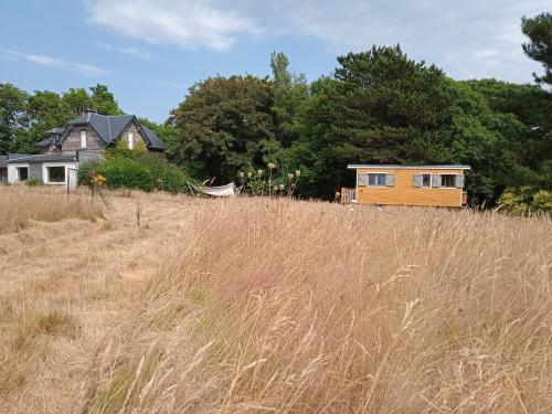 a house sitting on top of a field of tall grass at Roulotte avec vue sur la mer, proche d'Etretat in Saint-Jouin-Bruneval