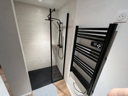 W łazience znajduje się prysznic ze szklanymi drzwiami. w obiekcie LE COQUET hyper centre climatisé w mieście Salins-les-Bains