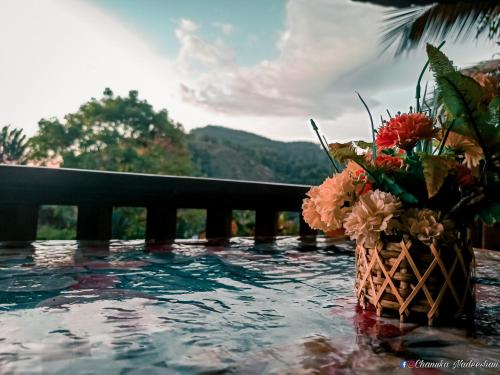 wazon kwiatów siedzący na basenie w obiekcie Saddle Cottage w mieście Ella