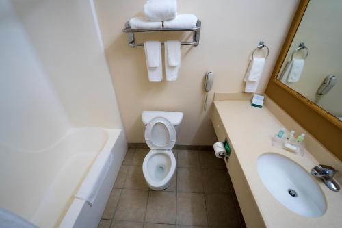 La salle de bains est pourvue de toilettes et d'un lavabo. dans l'établissement Quality Inn & Suites, à Monroeville