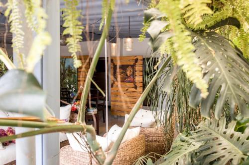 a room filled with lots of green plants at Casa María Aeropuerto B&B in Alajuela City