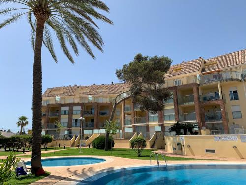 a hotel with a palm tree and a swimming pool at Denia_Azul Marino_playa in Denia