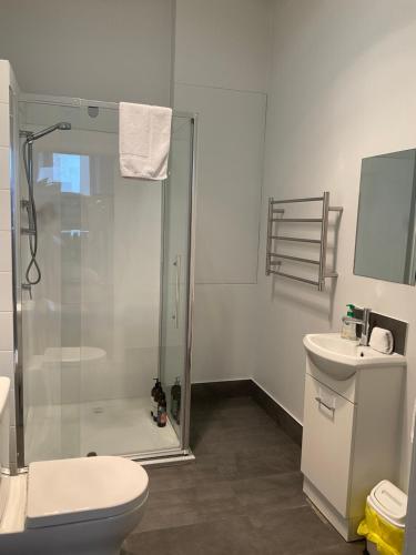 a bathroom with a shower and a toilet and a sink at Argyle Accommodation in Hobart