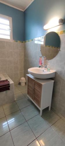 a bathroom with a sink and a mirror and a tub at Le petit cactus 1 in Bras-Panon