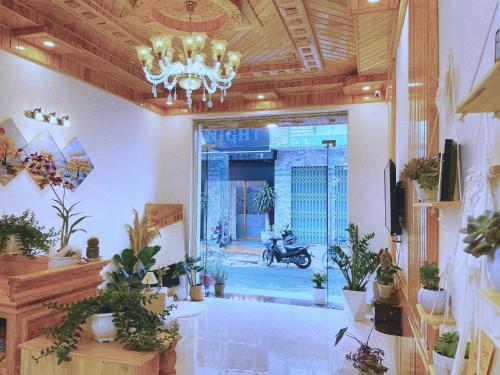 大叻的住宿－Moc Nhien Hostel Da Lat，一间充满植物和吊灯的房间