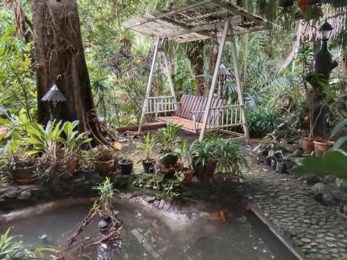 Jardin de l'établissement Tree Tops River Huts