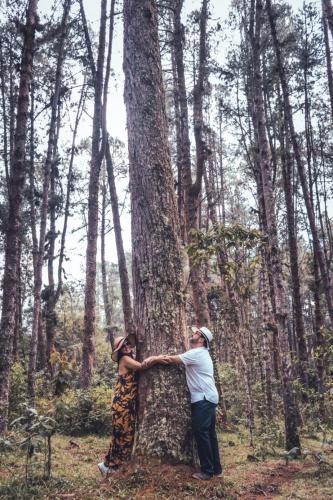 a man and woman standing around a tree at Villa Celina: La cabañita de Guadua in Santa Elena