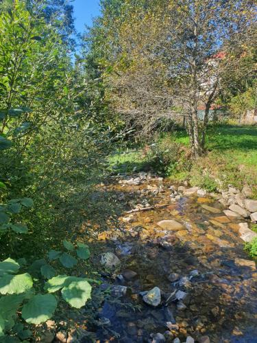 Φυσικό τοπίο κοντά σε αυτό το διαμέρισμα