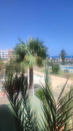 a view of a resort with palm trees and a pool at Apartment zona Naturista in Vera