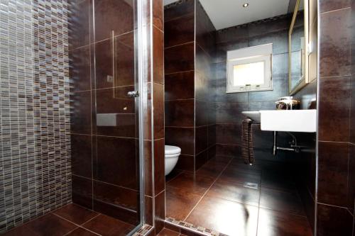 a bathroom with a shower and a toilet and a sink at Luxury villa with a swimming pool Vis - 8922 in Vis
