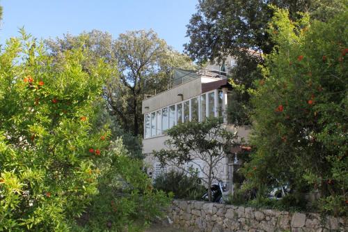 Apartments by the sea Zaton Veliki, Dubrovnik - 9054
