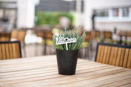 a plant in a black pot on a table at Hotel Kupferzell in Kupferzell